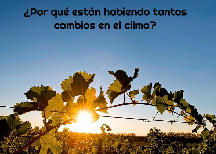 Por qué está habiendo tantos cambios en el clima