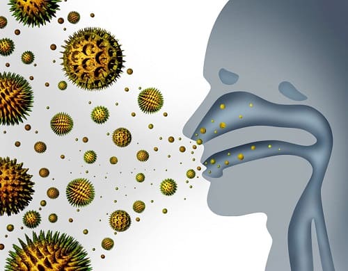 ¿Cuáles son las alergias de otoño y cómo prevenirlas?