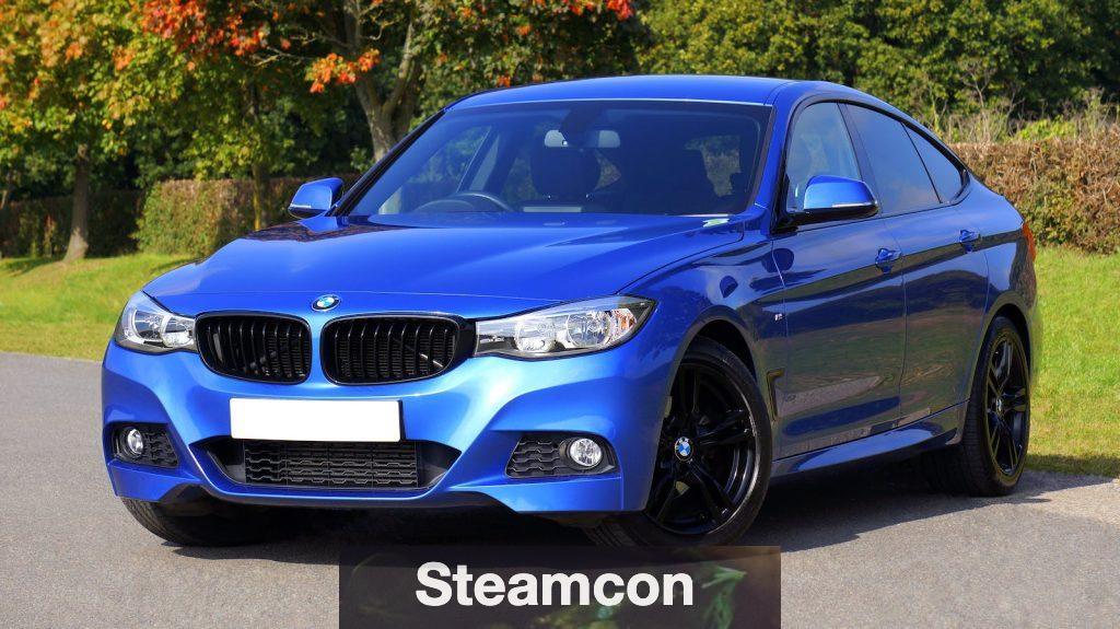 Blue Bmw Sedan Near Green Lawn Grass