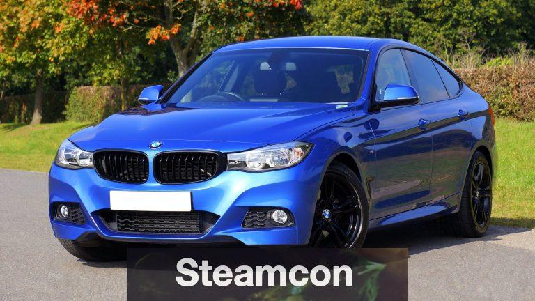 Blue Bmw Sedan Near Green Lawn Grass