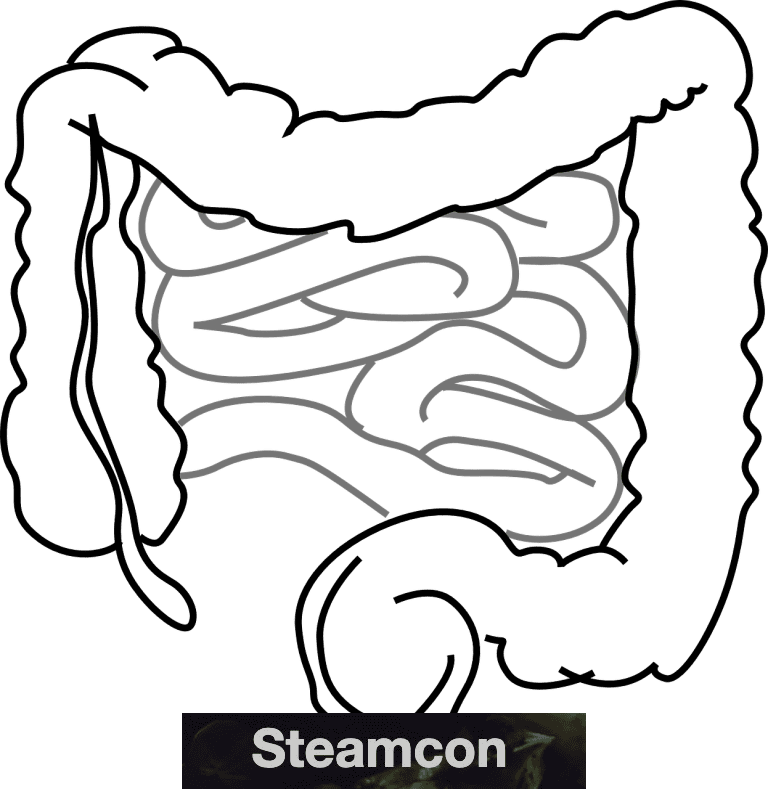 Intestinos