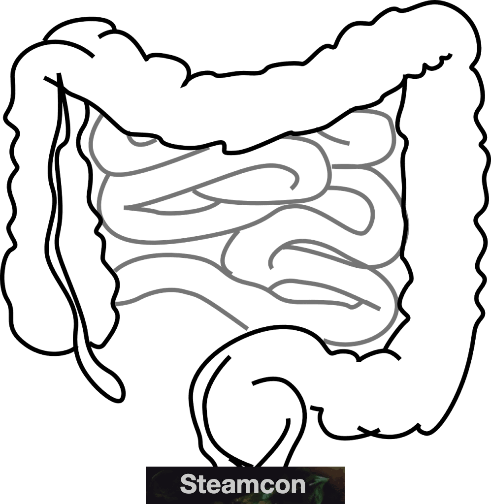 Intestinos